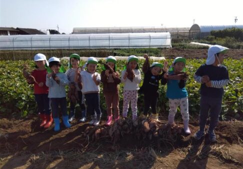 ５歳児　芋ほり遠足