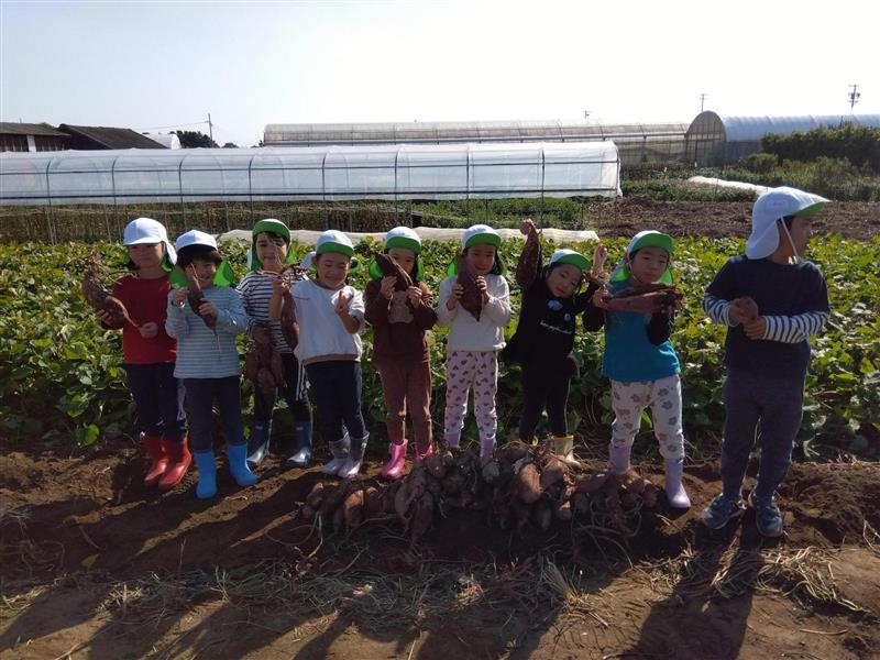 先日、芋ほり遠足に行ってきました🌞
当日は天候にも恵まれ、姉妹校の学生と交流しながらバスに乗って畑へ向かいました🚌
今年はお芋の大きさはあまり期待できないかもしれないと事前に伺っていましたが、実際に掘ってみると、とても大きなお芋がたくさん収穫でき、こどもたちは大興奮😄
土に触れ、匂いも感じ、五感を使って自然と関わる貴重な時間となりました💎
夢中になってお芋を探す子どもたちの姿が印象的で、秋ならではの素敵な体験をすることができました🍠