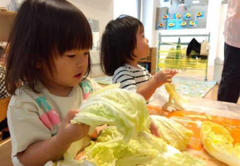 1歳児「食育～白菜ちぎり🥬～」