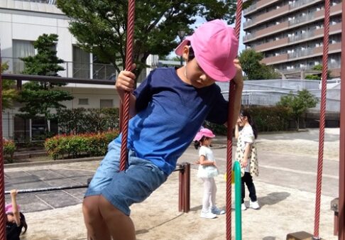 ５歳児　くじら組「お散歩日和☼」