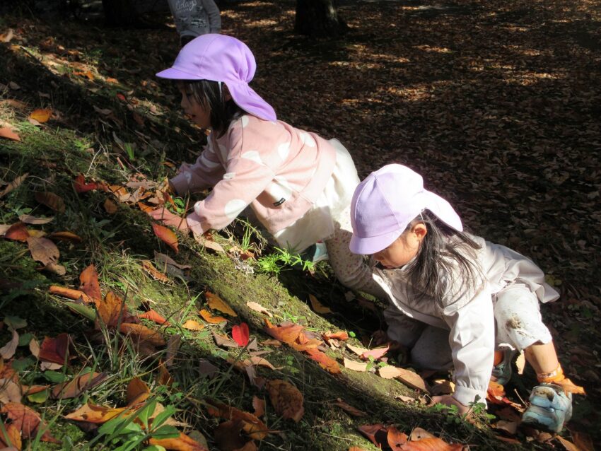 手足を使いながら「よいしょよいしょ」一生懸命登っています！