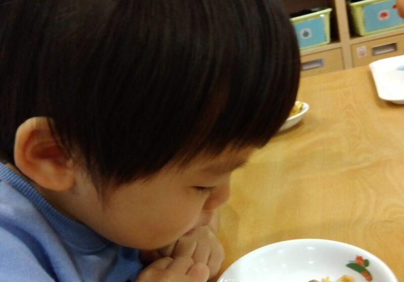 これがなめこかぁ！！