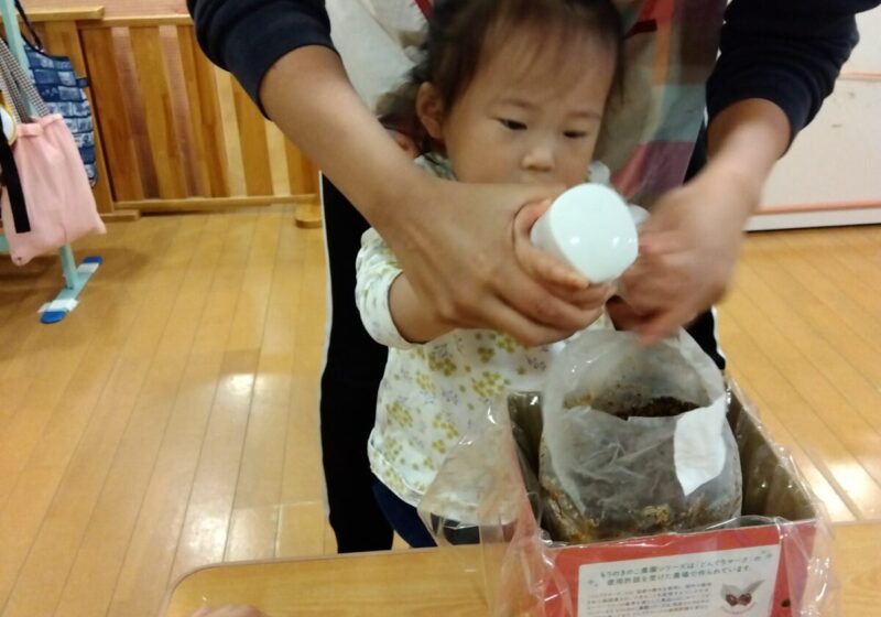 毎日シュッシュ