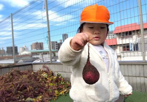 1歳児　りす組　「いもほり」