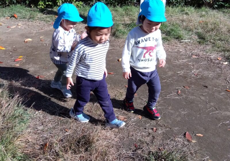 みんな枝や木の実を集めました！