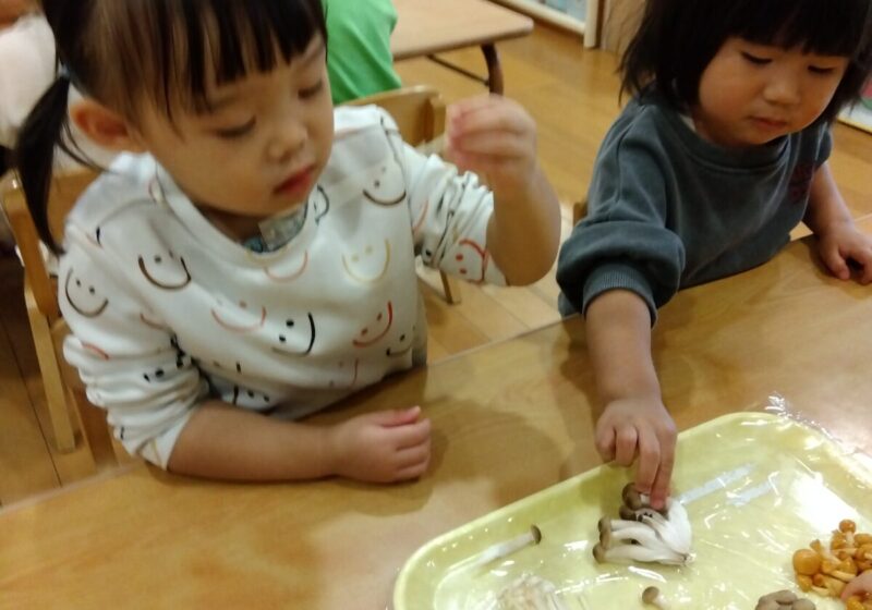 どんなにおいがするかな？