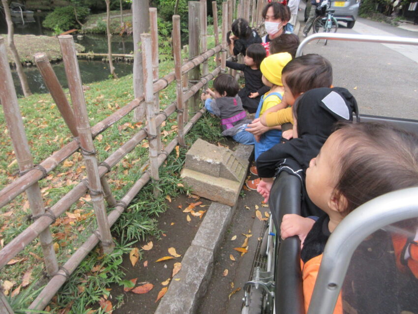 池の中に、何かいるよ⁈