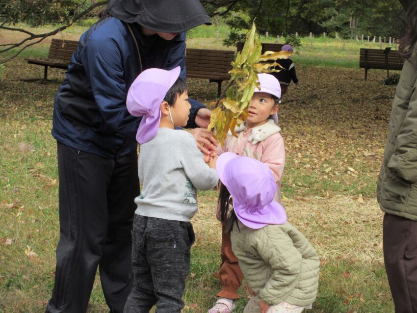 大きい葉っぱあったよ！