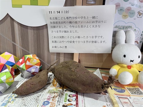 収穫したお芋の一部をエントランスに掲示しました🍠