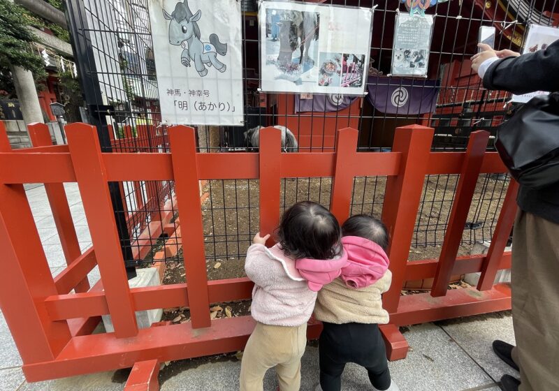 ふたりで仲良く、神田明神の神馬のあかりちゃんをみているよ♪
