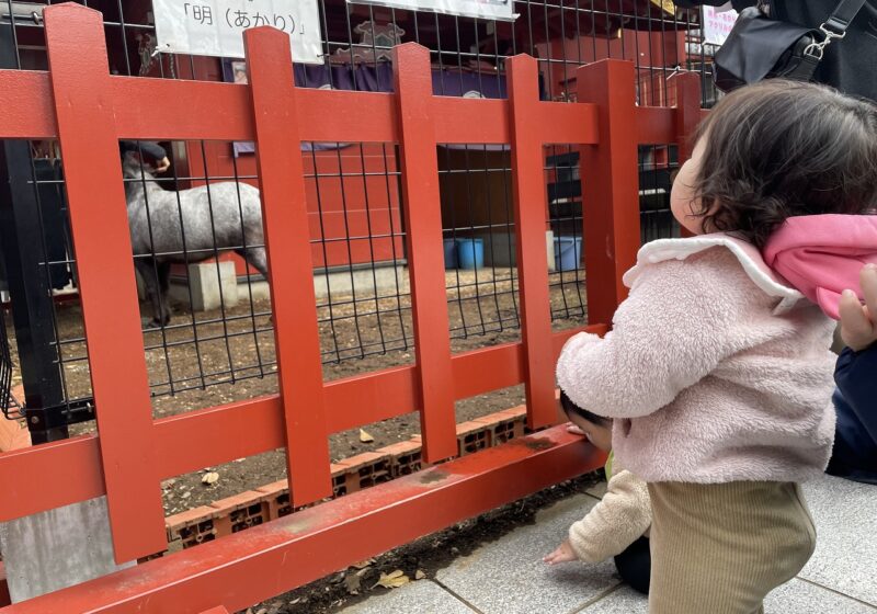 あかりちゃんのお顔見えるかな～