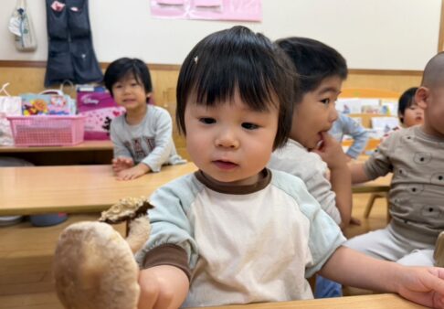 2歳児クラス「きのこ栽培♪」