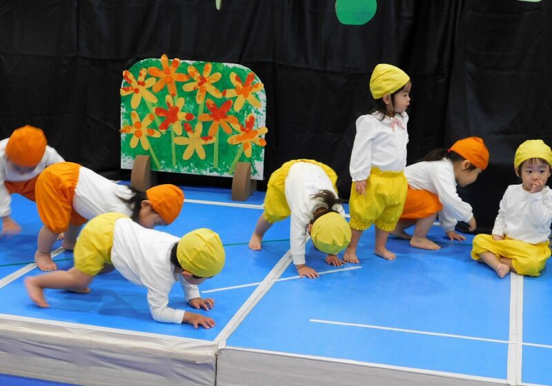 １歳児☆うずらちゃんとひよこちゃんのかくれんぼ