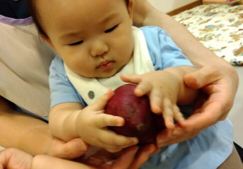 ひよこ組（０歳児クラス）☆食育