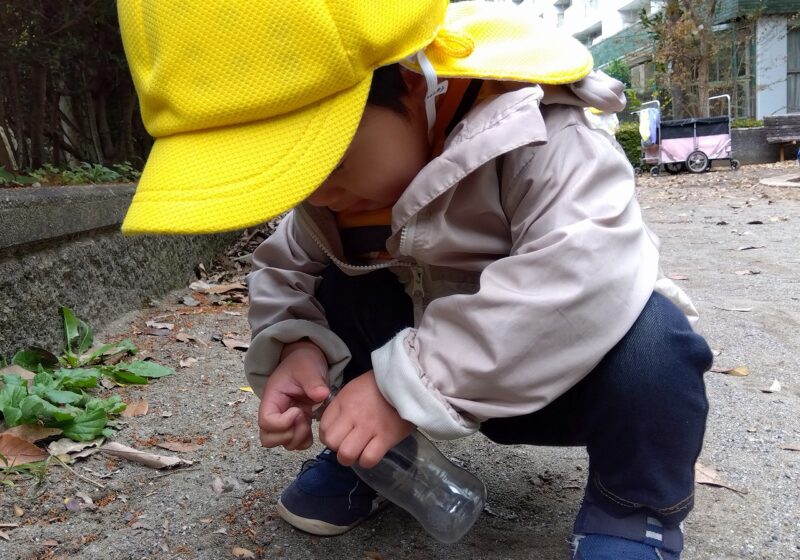 石を入れてるよ