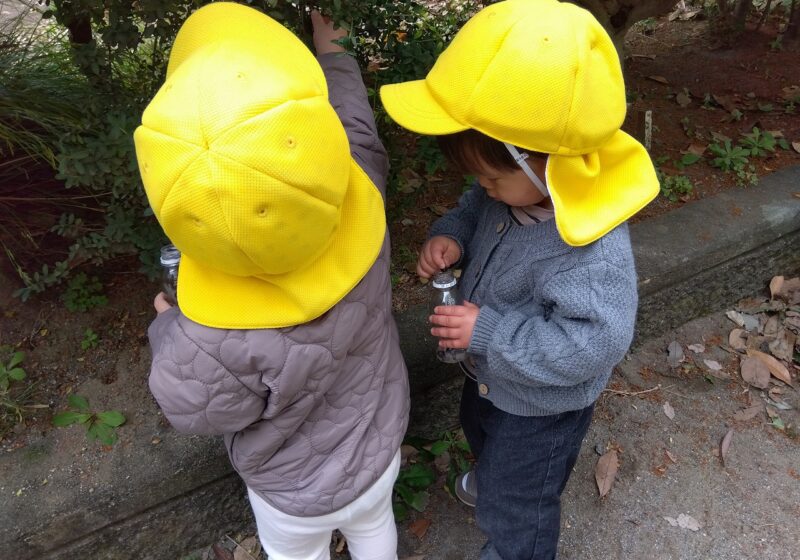 木の実もあるね