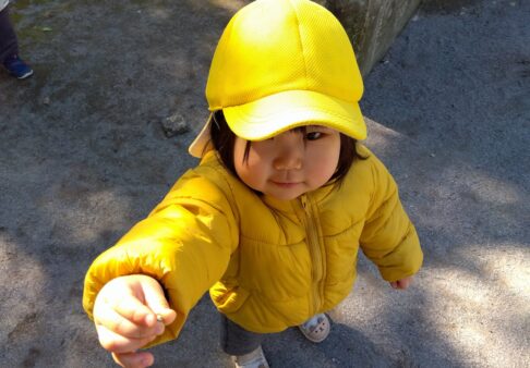 自然集めをしました～1歳児～
