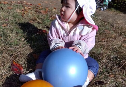ひよこ組(0歳児クラス)☆11月の様子