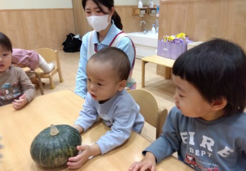 カボチャに触れたよ♪