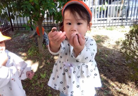 1歳児クラス　戸外活動