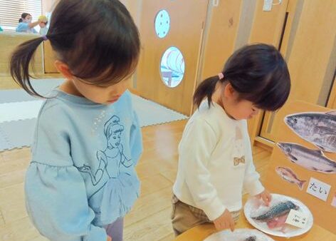 12月　魚の解体ショー