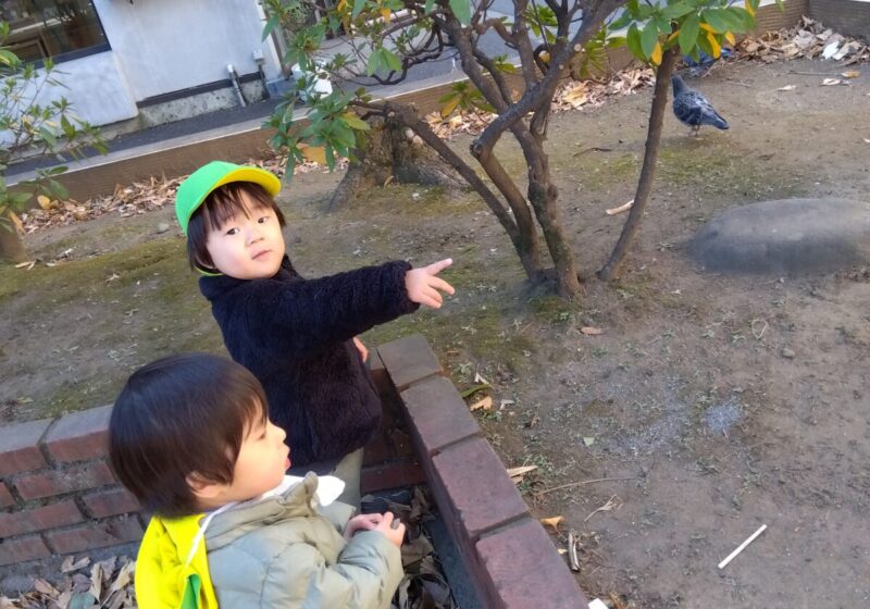 ありさんいるかなー？