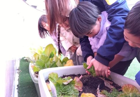 ５歳児　食育活動