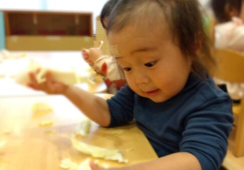 食育“白菜”に触れました！