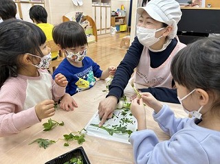 七草を調べよう！