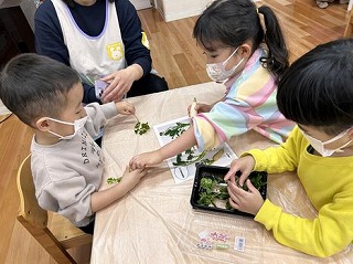 春の七草がゆ食育