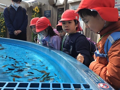 お別れ遠足　～５歳児～