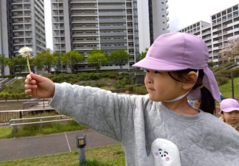 ５歳児　くじら組　「春の自然見つけたよ！」
