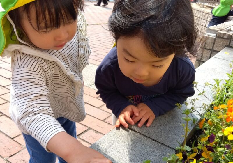 みてみてー♪