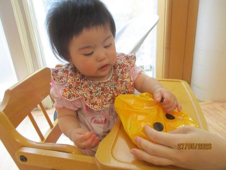 この黒いものは何だろう？