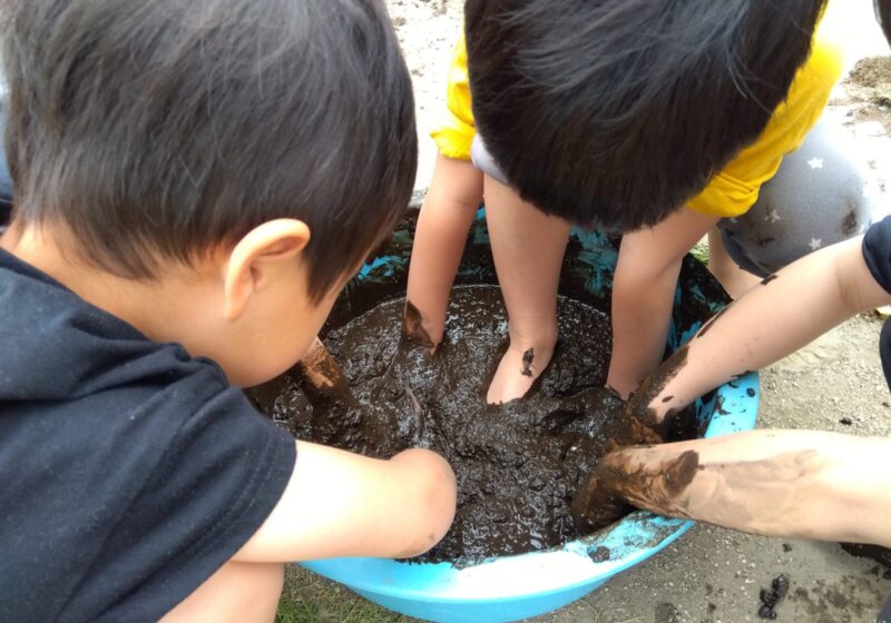 美味しいお米になる為には土作り重要です