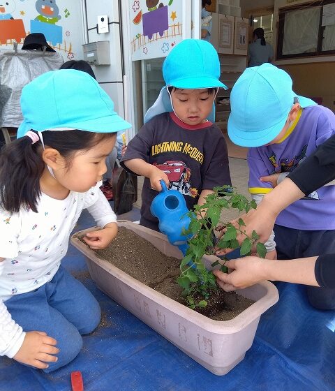おおきくなあれ♪丁寧に植えました！