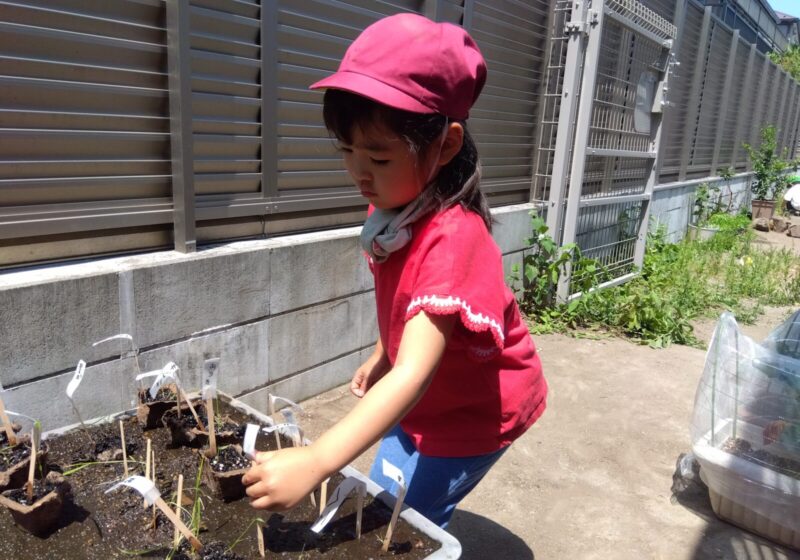 大きくなりますように