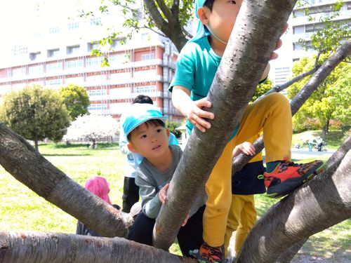 充実した戸外活動