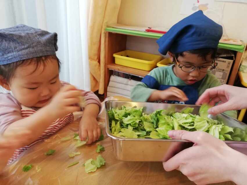 生きる源の食育