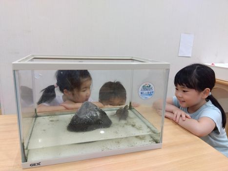 命の大切さに触れる保育