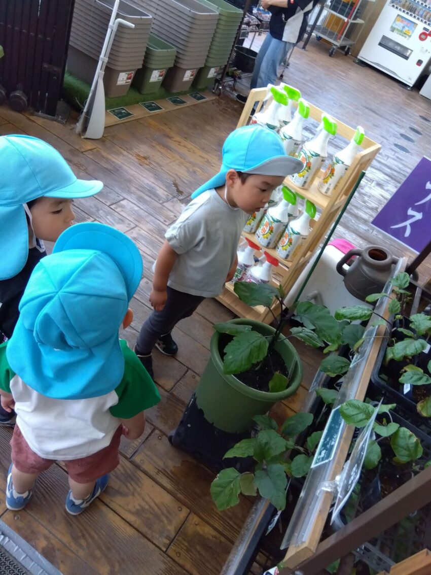 【食事】が楽しくなる生活