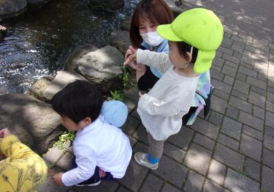 4~6月