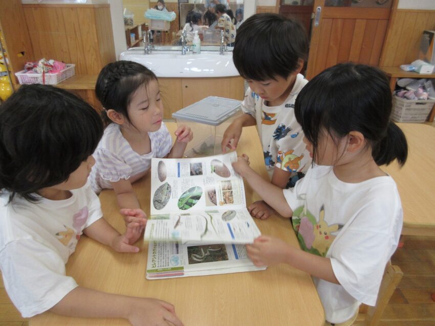 「本当に卵かな？」