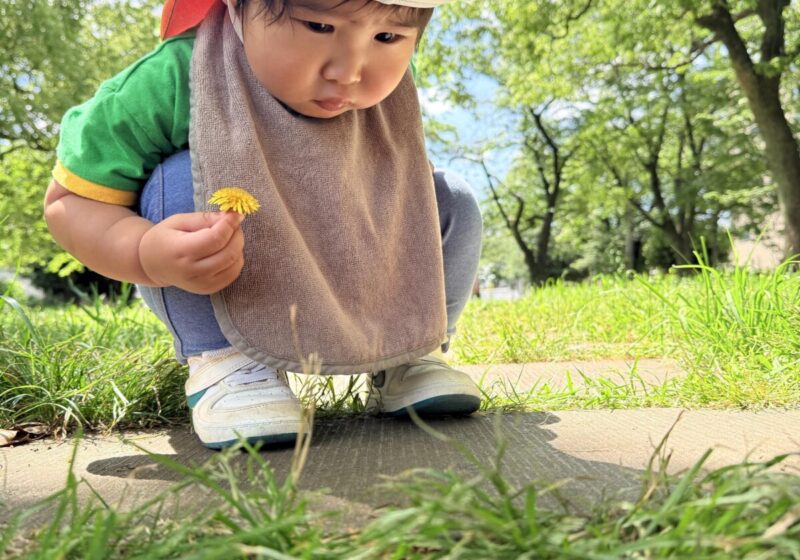 主活動(戸外活動、室内遊び)