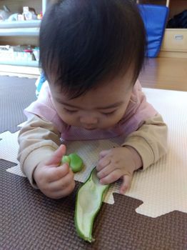 豊富な食育活動
