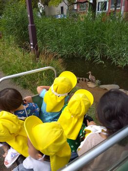 主活動(お散歩・戸外活動 室内遊び等)