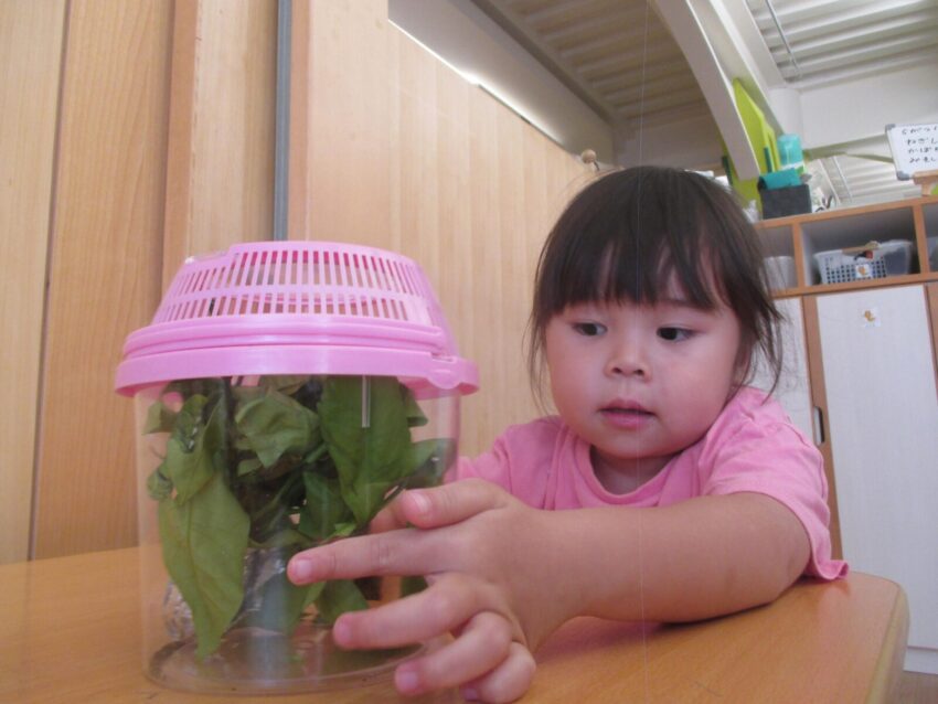子どもたちと保護者と職員の笑顔