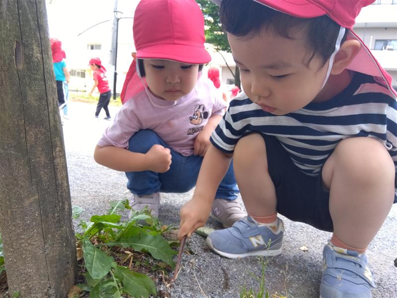 充実の外遊び