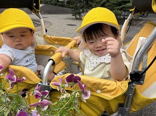 おはなきれいね