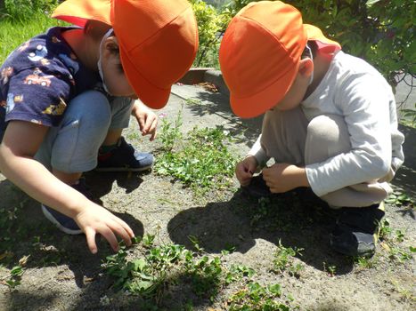 充実した周辺戸外環境の中での自然体験を通して感性をはぐくみます